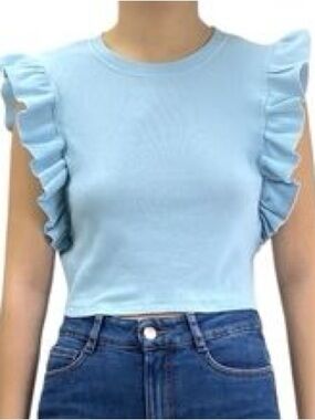 Zara Light Blue Ruffle Sleeve Crop Top